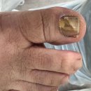 레푸스앤두두뷰티 이미지