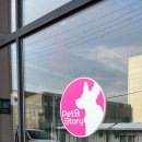 펫앤스토리 | 처인구 모현 강아지운동장 애견카페 펫앤스토리