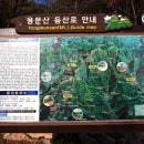양평 유아숲체험원 이미지