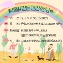 영주시치매안심센터 | [영주] “매일 걸어 건강한 뇌 만들어요”…영주시, 9월 ‘치매예방 걷기 챌린지’