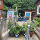 자연애 선펜션 이미지