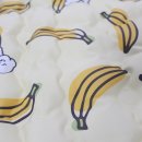 펫 노리터 이미지