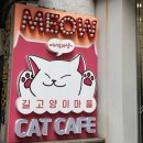 고양이마을 | [성수 실내 데이트] 고양이 좋아한다면 꼭 가봐야 하는 서울 고양이 카페, 길고양이마을 성수협력점 후기