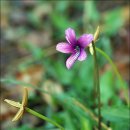 (상) 군산 구불길 가을걷기 축제 후기 - 군산 시간여행걷기 (구불2길 걷기, 락원한정식, 히로쓰가옥) 이미지