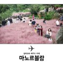 제주블랑 이미지