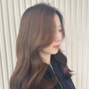 데이지케어 이미지