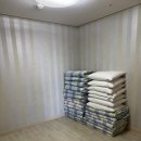 홍익제주호텔 | Hi제주호텔 패밀리룸 솔직 후기