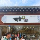 백송 | 경주 황리단길 기념품 소품샵 백송 후기 놀거리 가볼만한곳 추천