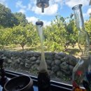 오소록헌디 이미지