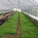 참농농장 이미지