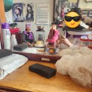 원이미장원 | [레트로체험]추억의 시고르 미장원3만원 파마 후기(＾ω＾)