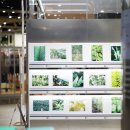 노보리지 이미지