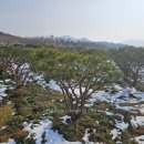 반송 이미지
