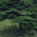 문방2리마을회관 이미지