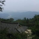 명호관점 이미지