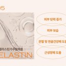 다문화건강랜드