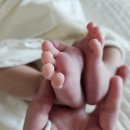 군포 산본 출장 오케타니 모유수유마사지 마마손 후기