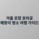 킴스호텔 | 겨울 포항 호미곶 해맞이 명소 여행 가이드