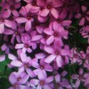 지니커피집 이미지