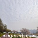 첨단다목적체육센터 | 광산구의 봄! 첨단생활체육공원과 첨단2동 둘레길 산책코스 추천