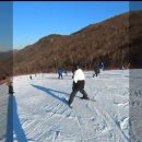 실시간 정선 스키장 이미지