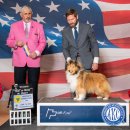 솔리뉴(Solynue) 이미지