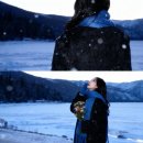 (주)경해달 | 부기부기햄 🍔