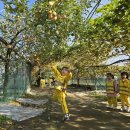 세인농장 이미지