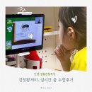 아트렌오감영재연구소 | 안쌤 영재교육연구소 생물관찰 특강, 초2 둘째와 검정왕개미 키우기 실시간 줌 수업 후기