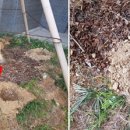 수목막걸리 이미지