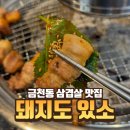 청주 금천동 삼겹살 맛집 추천 &#39;돼지도 있소&#39; 솔직 후기