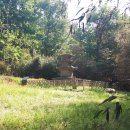 봉남리 삼층석탑 이미지