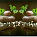 맑고 향기롭게 이미지