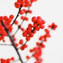 압구정-128 이미지