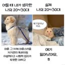 빨간집삼화지구점