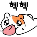 룸나인 이미지