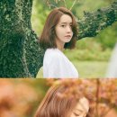 지니민박 이미지