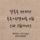 토브 펫 살롱 이미지