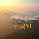 계룡산 이미지