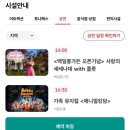앨리스안경 | 아이와 여름철 서울랜드, 물놀이부터 K팝 귀신댄스, 불꽃놀이까지 불태웠던 후기