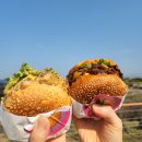 썬비치리조트 이미지