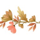 남원서원초등학교 이미지