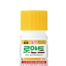 플로르앙 이미지