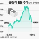 개미플러스