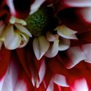 순리대로 이미지