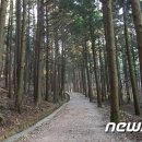 '2월에 걷기 좋은길은 어디?'…강릉 바우길 등 10곳 선정 이미지