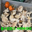 윈풀 이미지