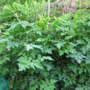 제천농장 이미지