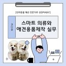 [북부] 의류제작 초급 | [공지] 인천 국비지원으로 애견의류 및 용품(초급/심화)과정 듣고 패턴부터 봉제까지 미싱 정복기...