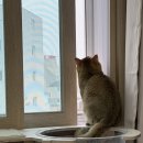 찬우물농장 | 찬우물 체험 동물농장 방문 후기🐶🐰🐷🐥🐢